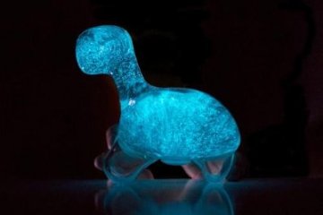 Probably one of the coolest gifts I've seen this year.  This dinosaur-shaped aquarium is filled with bioluminescent dinoflagellates (glowing plankton).  This would make a great nightlight for a child (you can shake them to get them glowing), or a great paperweight for a grownup kid.  